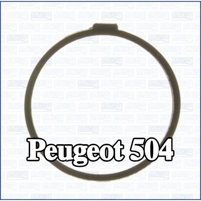 AJUSA حشية، منظم الحرارة — Peugeot 504