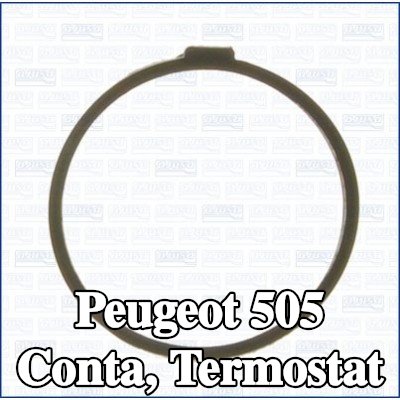 AJUSA Conta, termostat — Peugeot 505