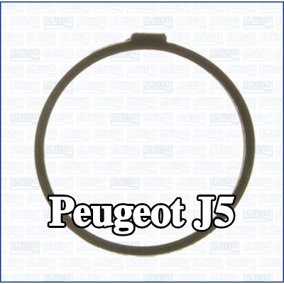 AJUSA حشية، منظم الحرارة — Peugeot J5