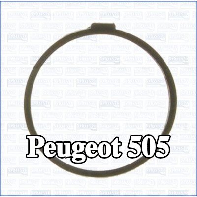 AJUSA حشية، منظم الحرارة — Peugeot 505