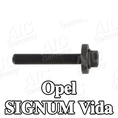 AIC Vida — 2003 Opel Signum