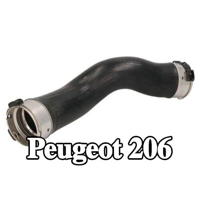 THERMOTEC خرطوم سحب الشاحن المدخل — 1998 Peugeot 206