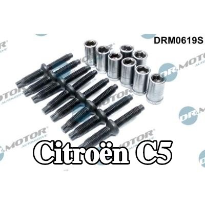 DR.MOTOR AUTOMOTIVE طقم إصلاح، حامل الحاقن — 2002 Citroën C5