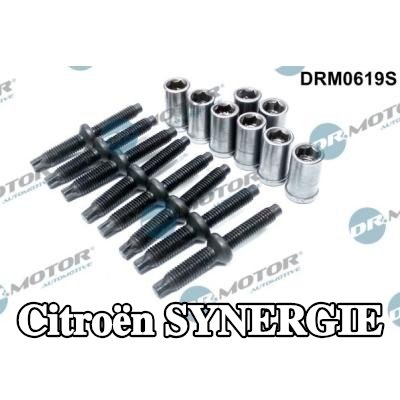 DR.MOTOR AUTOMOTIVE طقم إصلاح، حامل الحاقن — Citroën Synergie
