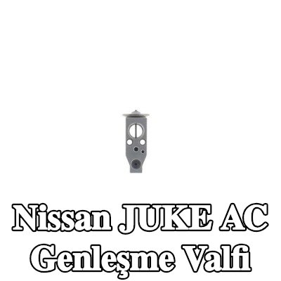 MAHLE AC genleşme valfi — Nissan Juke