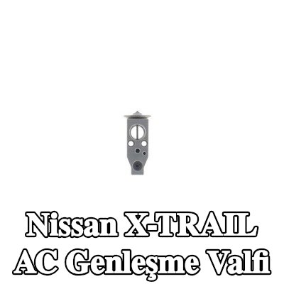 MAHLE AC genleşme valfi — Nissan X-trail