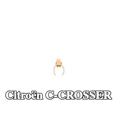 BOSCH قابس، شمعة الإشعال — Citroën C-crosser