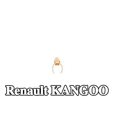 BOSCH قابس، شمعة الإشعال — Renault Kangoo