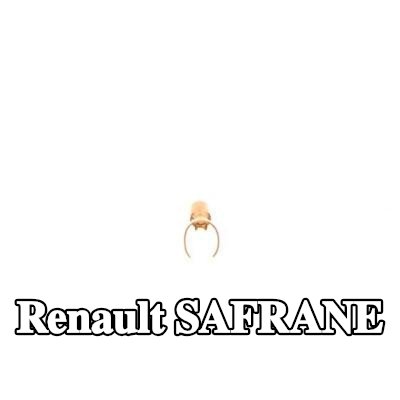 BOSCH قابس، شمعة الإشعال — Renault Safrane