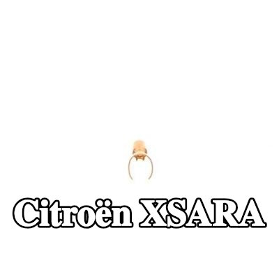 BOSCH قابس، شمعة الإشعال — Citroën Xsara