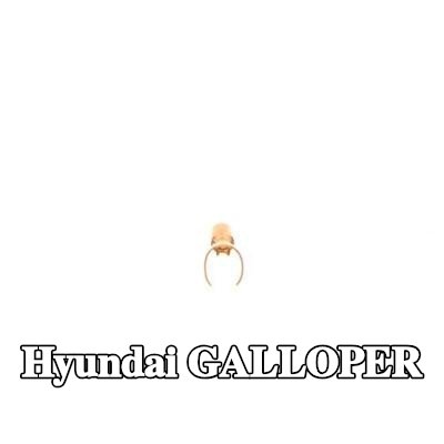 BOSCH قابس، شمعة الإشعال — Hyundai Galloper
