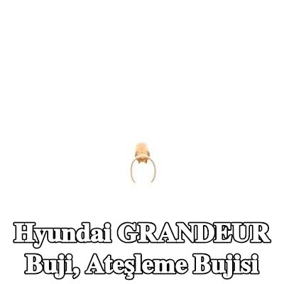 BOSCH Buji, ateşleme bujisi — Hyundai Grandeur
