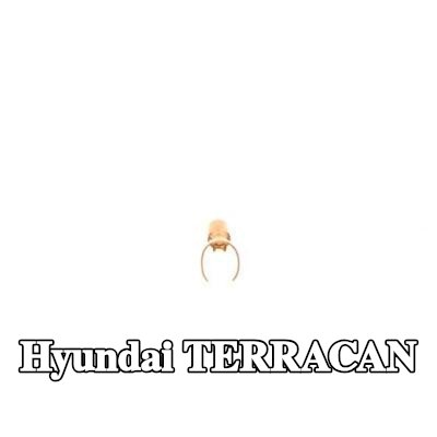 BOSCH قابس، شمعة الإشعال — Hyundai Terracan