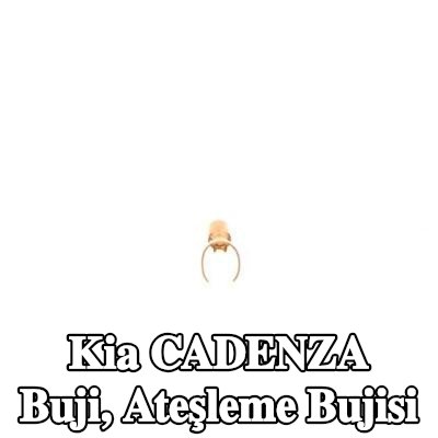 BOSCH Buji, ateşleme bujisi — Kia Cadenza