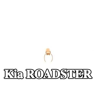 BOSCH قابس، شمعة الإشعال — Kia Roadster
