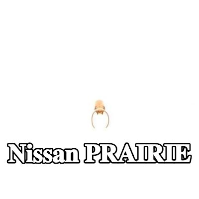 BOSCH قابس، شمعة الإشعال — Nissan Prairie