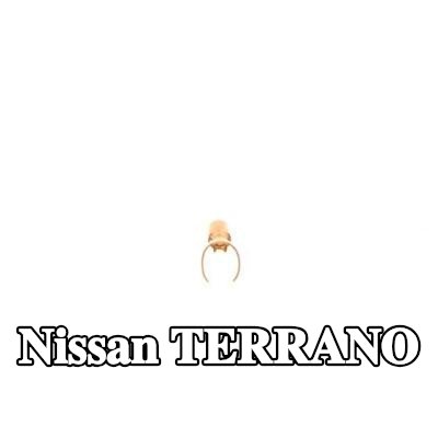 BOSCH قابس، شمعة الإشعال — Nissan Terrano