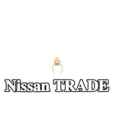 BOSCH قابس، شمعة الإشعال — Nissan Trade