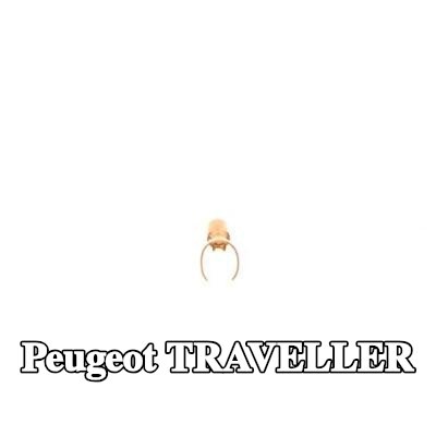 BOSCH قابس، شمعة الإشعال — Peugeot Traveller