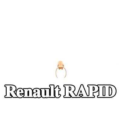 BOSCH قابس، شمعة الإشعال — Renault Rapid