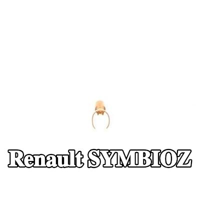 BOSCH قابس، شمعة الإشعال — Renault Symbioz