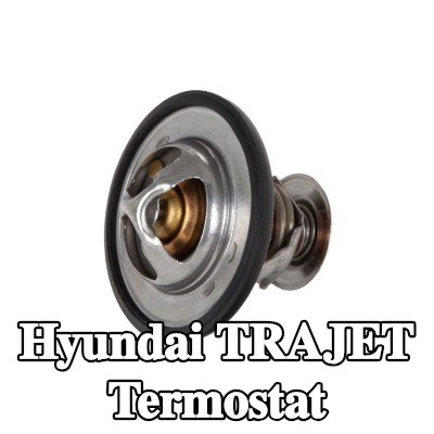 Continental Termostat 82°C, 54mm, 28mm, contalı/sızdırmaz — 2000 Hyundai Trajet
