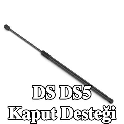STABILUS Kaput destek çubuğu LIFT-O-MAT — DS Ds5