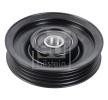 FEBI BILSTEIN Saptırma / kılavuz kasnağı, V-ribbed belt Outer Diameter: 85mm — Nissan Cabstar E (3)