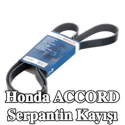 BOSCH Serpantin kayışı 1637mm, Number of ribs: 7 — Honda Accord