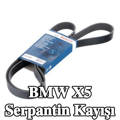 BOSCH Serpantin kayışı 1637mm, Number of ribs: 7 — 2000 BMW X5