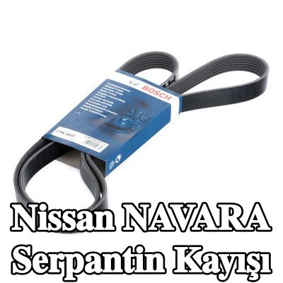 BOSCH Serpantin kayışı 1637mm, Number of ribs: 7 — 2000 Nissan Navara
