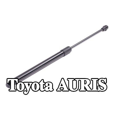 RIDEX دعامة الباب الخلفي 443, 5mm — 2011 Toyota Auris