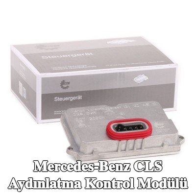 ESEN SKV Aydınlatma kontrol modülü — 2004 Mercedes-Benz Cls