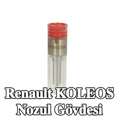 Wuzetem Nozul Gövdesi — Renault Koleos