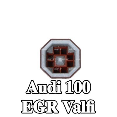 NRF EGR valfi — Audi 100