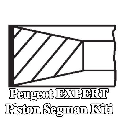 MAHLE Piston Segman Kiti — 1997 Peugeot Expert