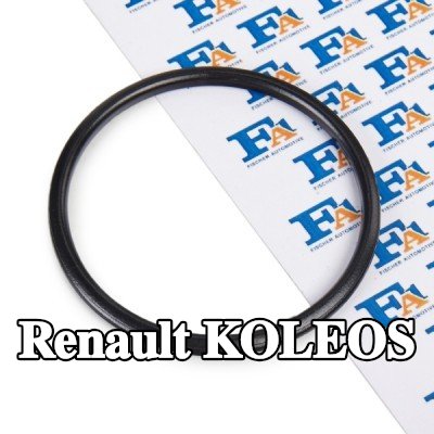 FA1 مانع تسرب، أنبوب العادم — Renault Koleos