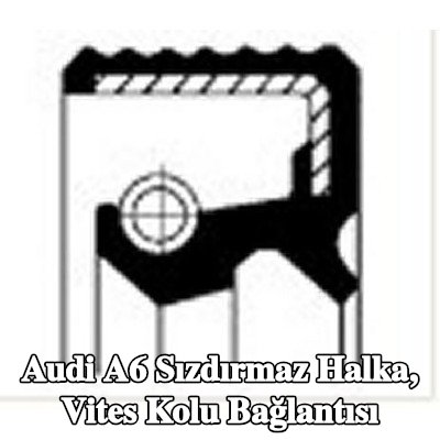 CORTECO Sızdırmaz halka, vites kolu bağlantısı — Audi A6