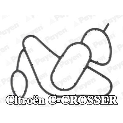 PAYEN حشية غطاء فلتر الزيت — Citroën C-crosser