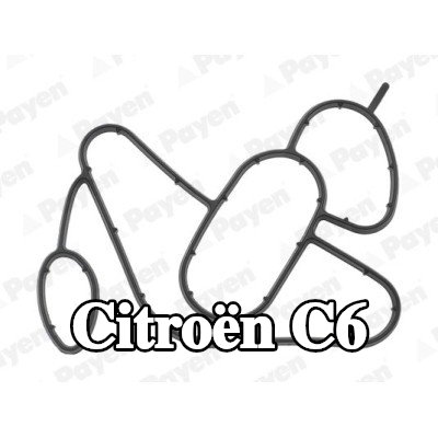 PAYEN حشية غطاء فلتر الزيت — 2006 Citroën C6