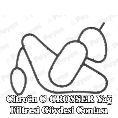 PAYEN Yağ filtresi gövdesi contası — Citroën C-crosser