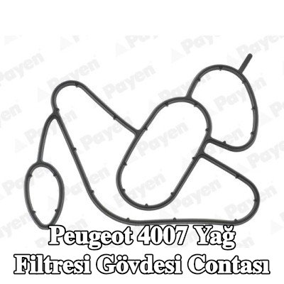 PAYEN Yağ filtresi gövdesi contası — Peugeot 4007