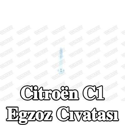 WALKER Egzoz cıvatası — Citroën C1