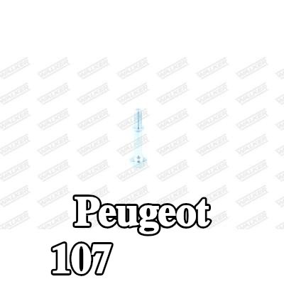 WALKER برغي العادم — Peugeot 107