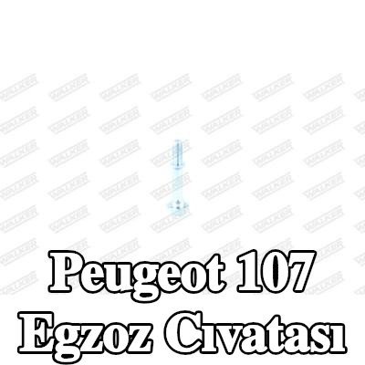 WALKER Egzoz cıvatası — Peugeot 107