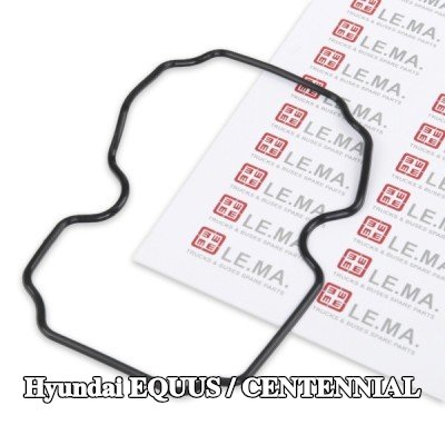LEMA مانع تسرب، فتحة تهوية علبة المرافق — Hyundai Equus / Centennial