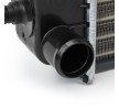 RIDEX Motor radyatörü Alüminyum, Plastik — Mercedes-Benz T1 (5)