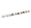 FEBI BILSTEIN Eksantrik Mili — Ford Fusion (1)