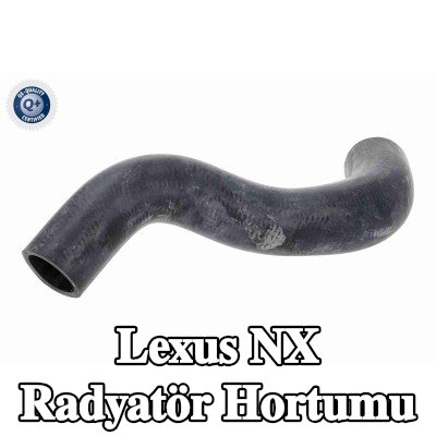 ACKOJA Radyatör Hortumu Alt Sağ — Lexus Nx