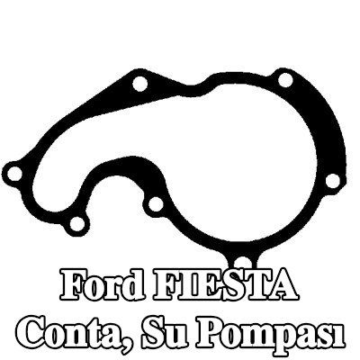 REINZ Conta, su pompası — 2000 Ford Fiesta